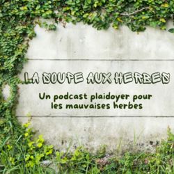 cover art for La Soupe aux Herbes