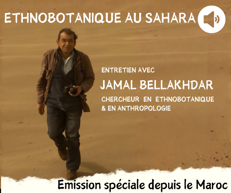 cover art for Ethnobotanique au Sahara