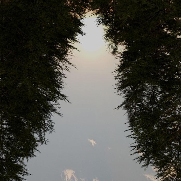 cover art for Act 2 - Like a Wildfire - Issue #14