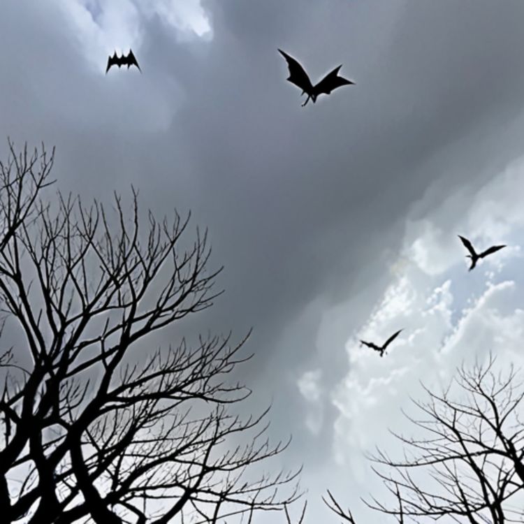 cover art for Forward into the Fen