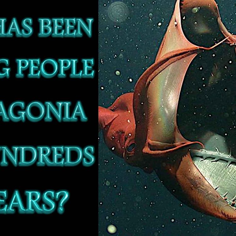 cover art for The Raft