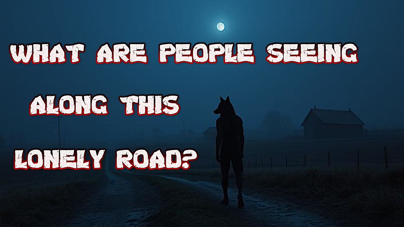 cover art for The Bray Road Beast