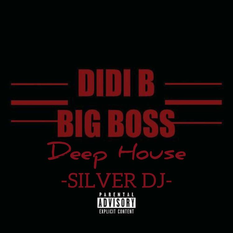cover art for Didi B Big Boss X Diplo  