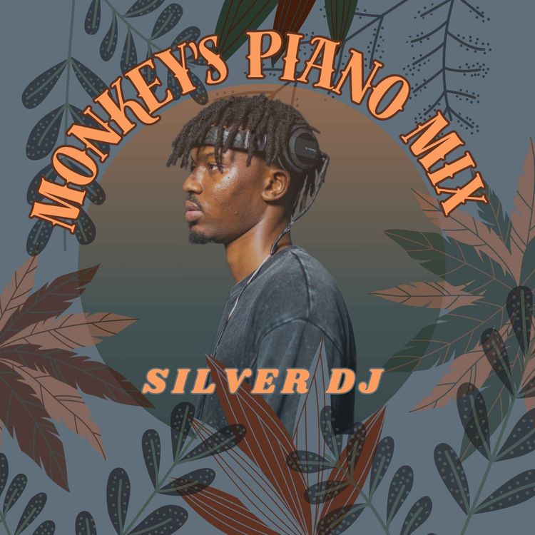 cover art for SILVER DJ 