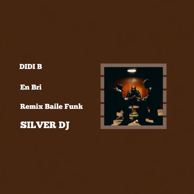 cover art for SILVER DJ - En Bri ( Baile Funk ) Remix