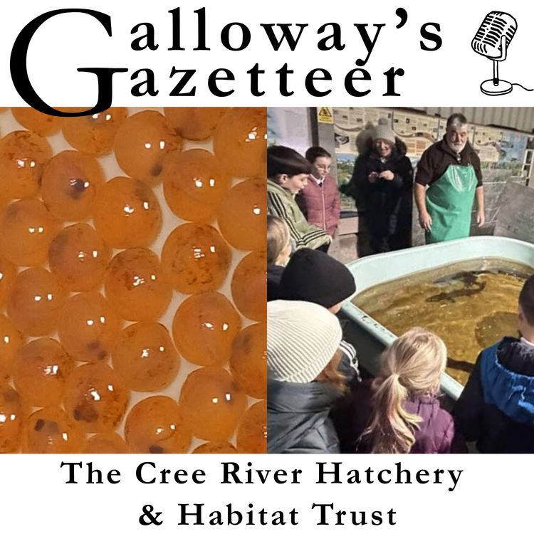 cover art for Galloway's Gazetteer - The Cree River Hatchery & Habitat Trust