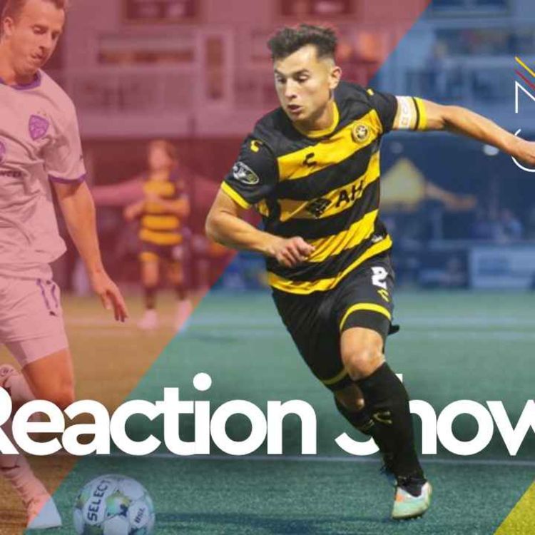 cover art for Lost Opportunity - Riverhounds Reaction Show