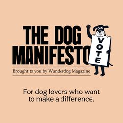 cover art for The Dog Manifesto