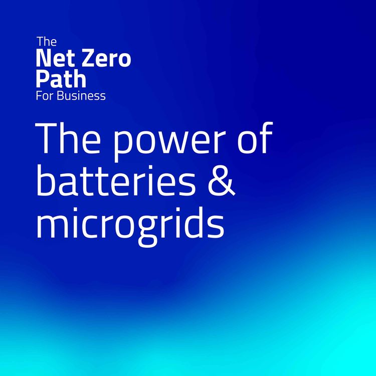 cover art for 4. The power of batteries & microgrids