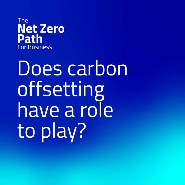 cover art for 6. Does carbon offsetting have a role to play?