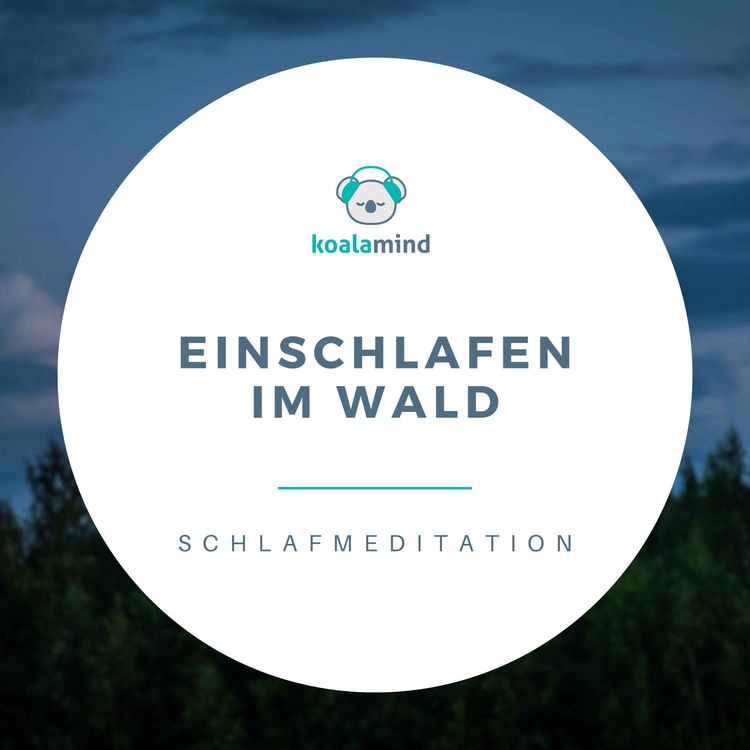 cover art for Einschlafmeditation: Einschlafen im Wald