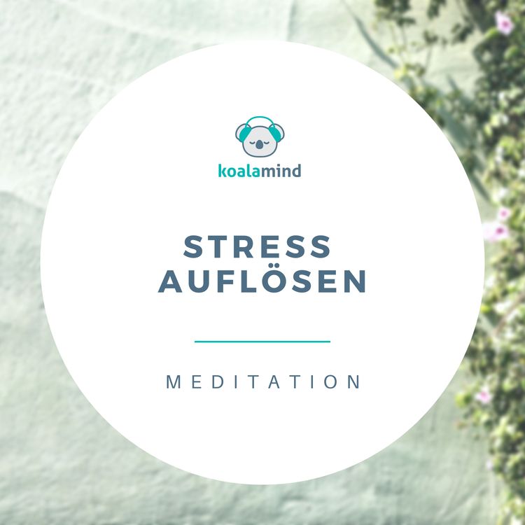 cover art for Meditation: Stress auflösen