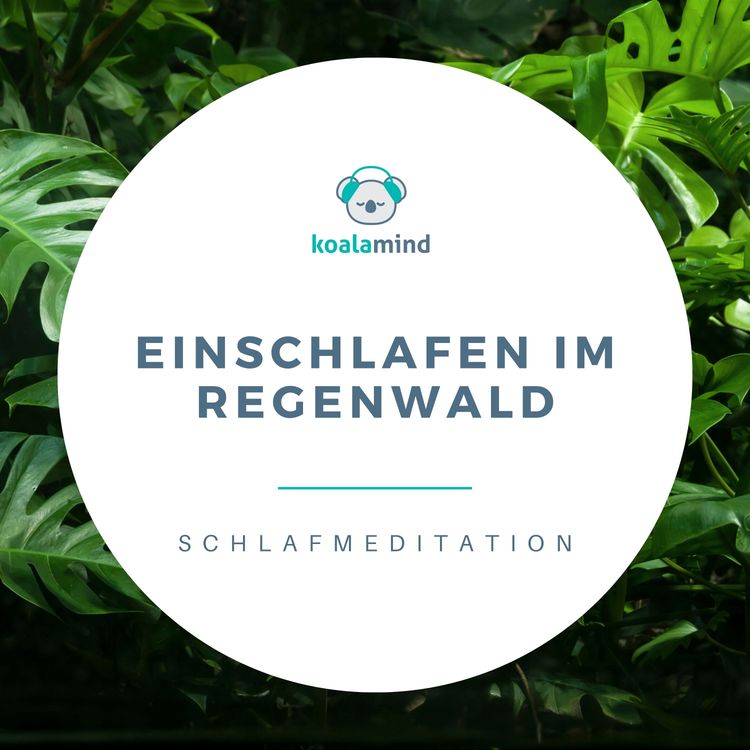 cover art for Schlafmeditation: Einschlafen im Regenwald