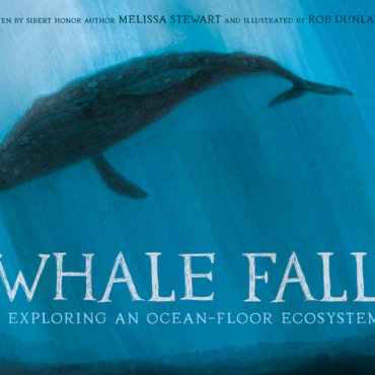cover art for Whale Fall