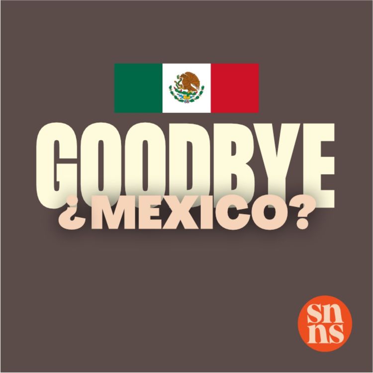 cover art for Why We'd Leave Mexico (Shocking Reasons Revealed!)