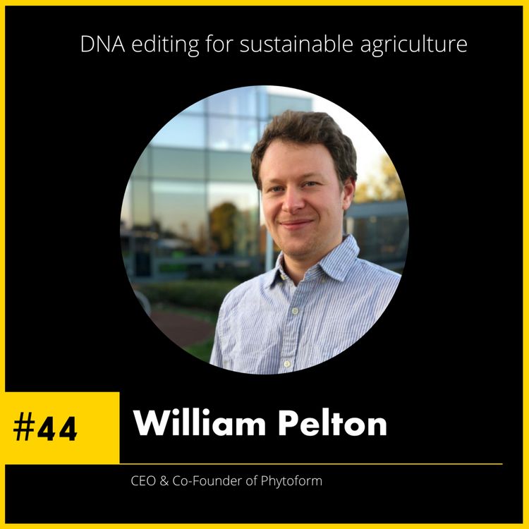 cover art for #44 William Pelton - CEO & Co-Founder of Phytoform - DNA editing for sustainable agriculture