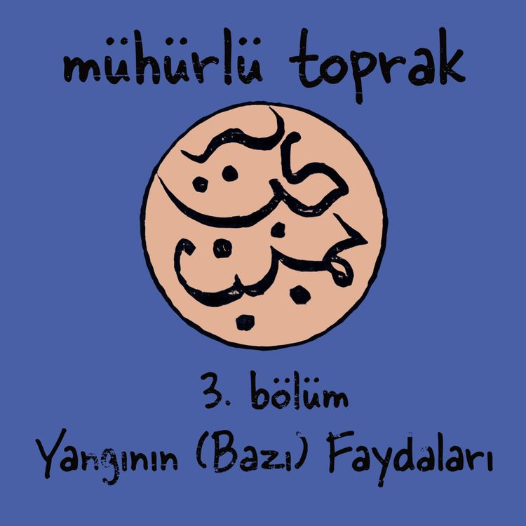 cover art for Yangının Faydaları
