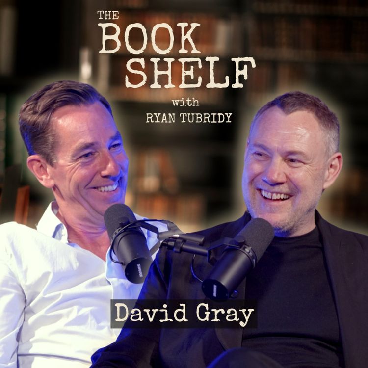 cover art for David Gray