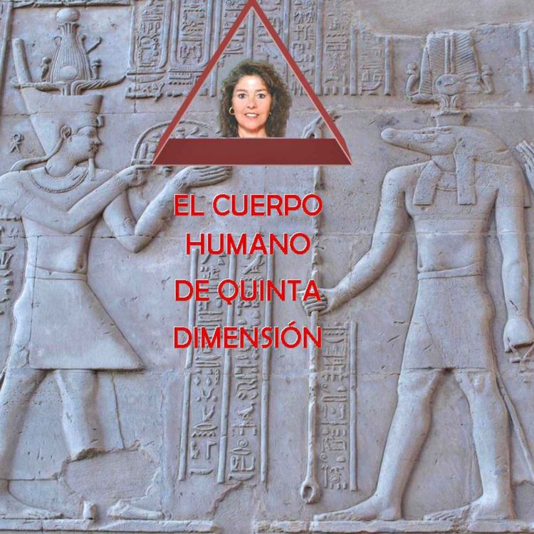 cover art for El tratado de dones espirituales