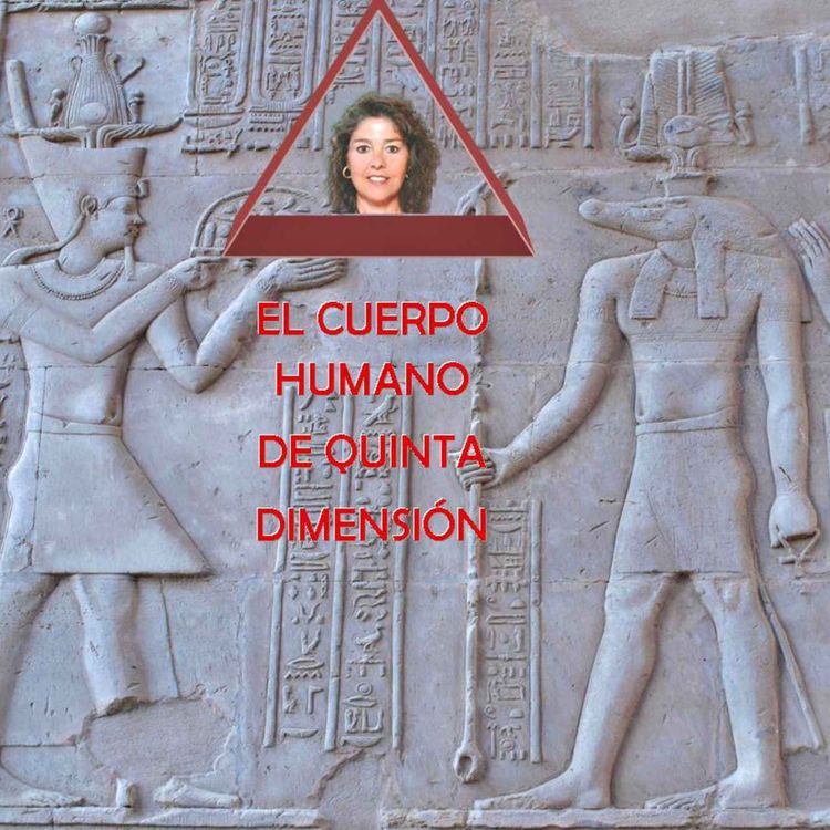 cover art for El mensaje de la muerte en la vida