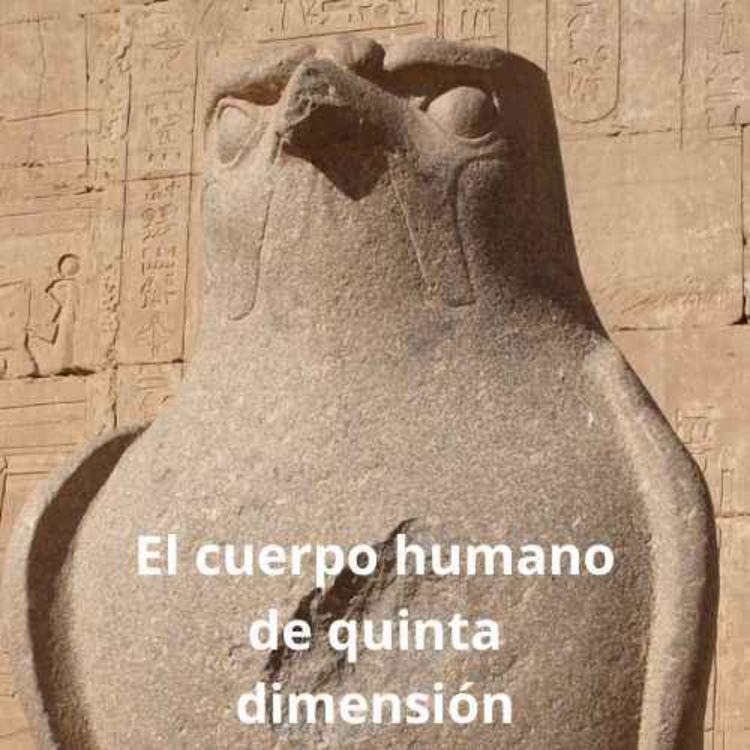 cover art for El mundo al revés y el mundo nuevo