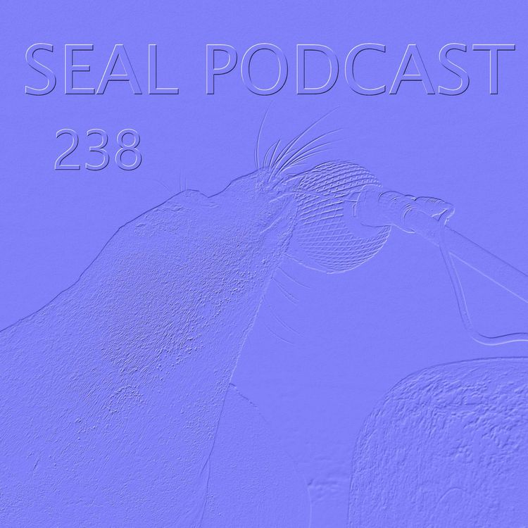 cover art for Episode 238 - Money Buckets