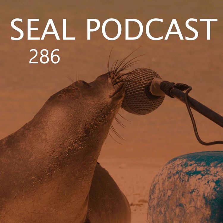 cover art for Episode 286 - Story Stuff