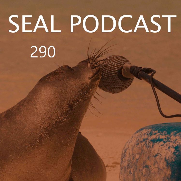 cover art for Episode 290 - Sort It