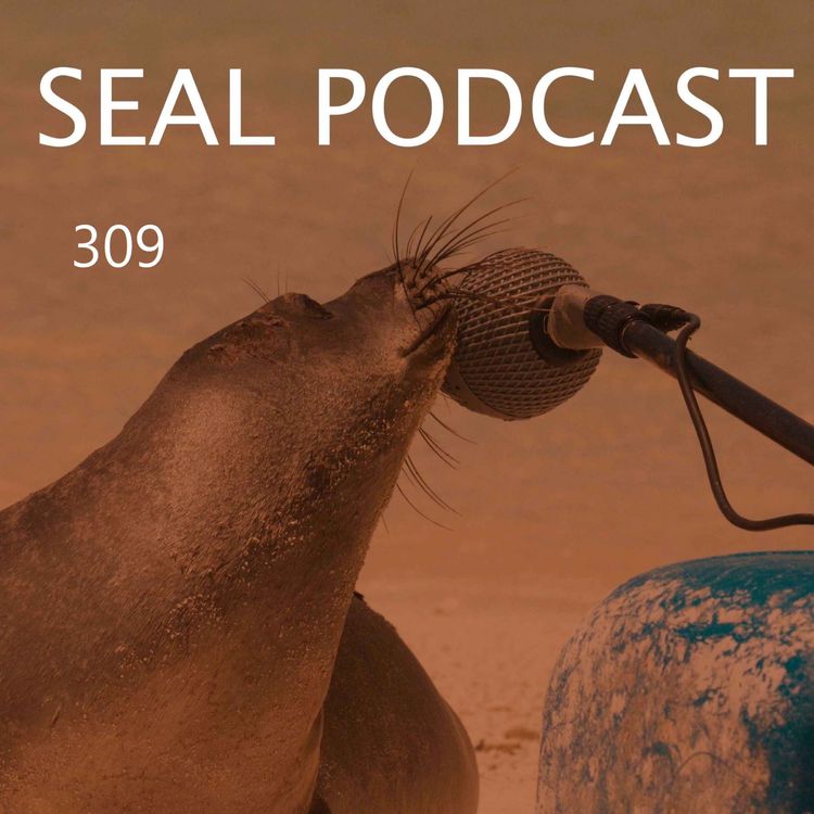 cover art for Episode 309 - Electric Boogaloo