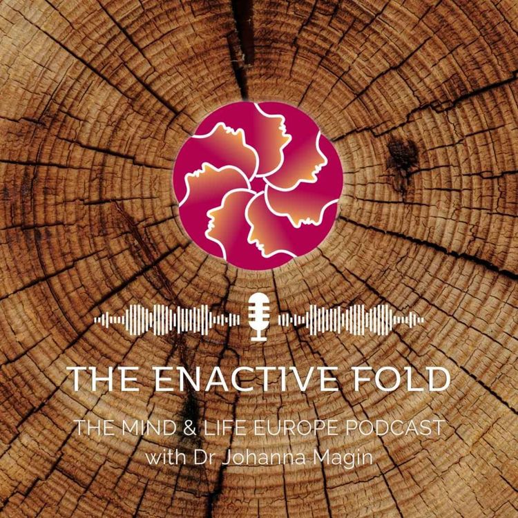 cover art for Season 3 Trailer: Introducing "The Enactive Fold"