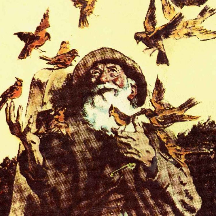 cover art for 081 - Friendliness