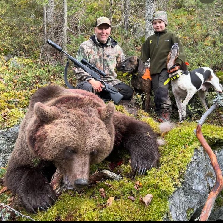 cover art for Bjørn, elg og hundeprat med Jon Steinar Vangen