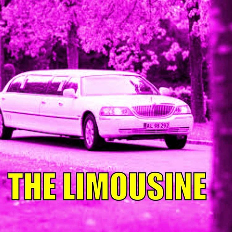 cover art for Seinfeld: The Limousine