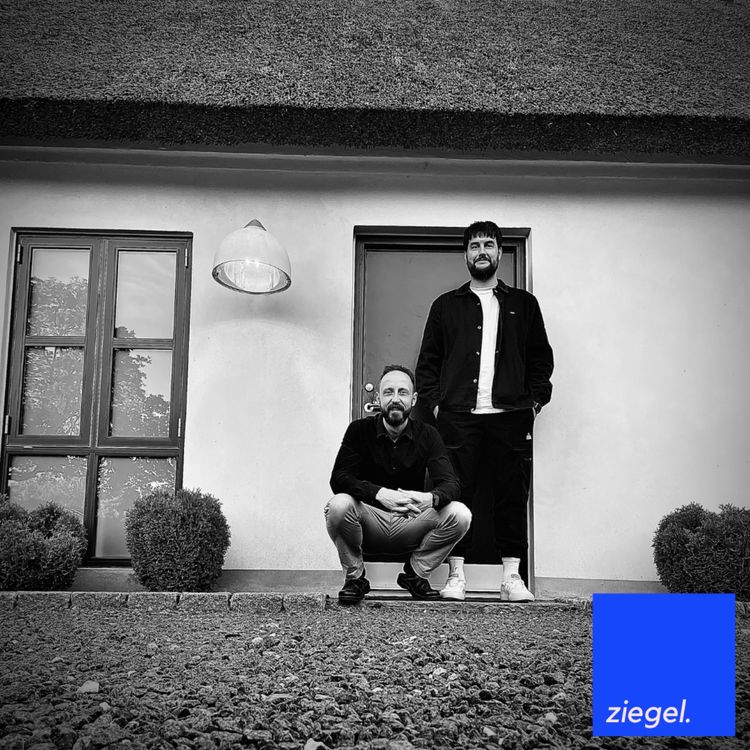 cover art for Uge 8: Finanstilsynet kommer