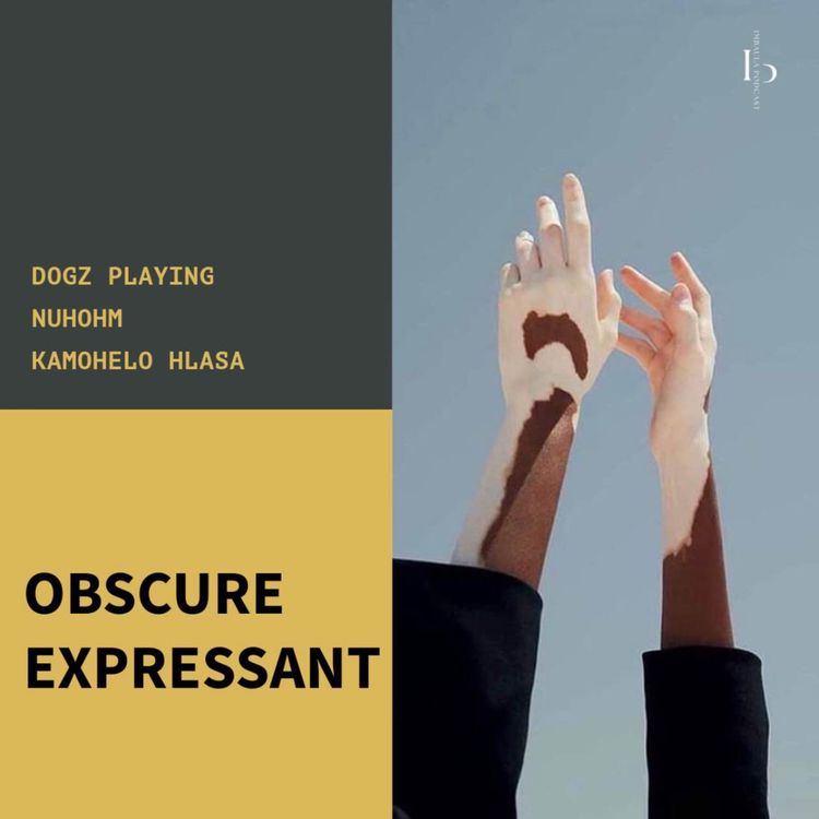 cover art for 006. The Residential Mix by Dogz Playing (SA)