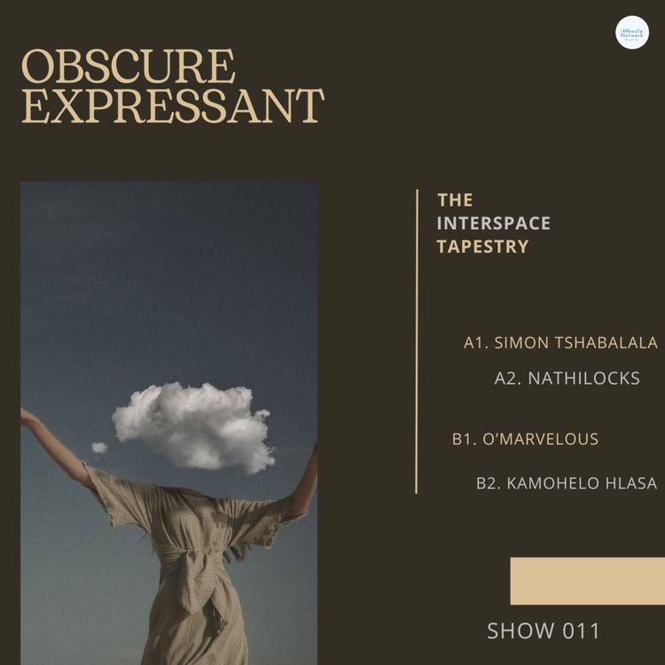 cover art for 011. The Interspace Tapestry by Nathilocks (SA)