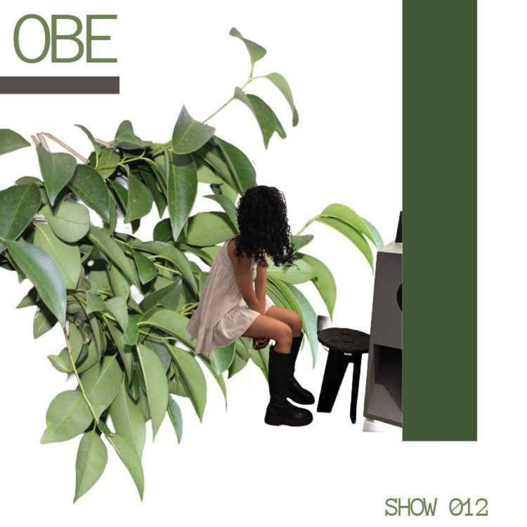 cover art for 012. The Interspace Mix by Nathilocks (SA)