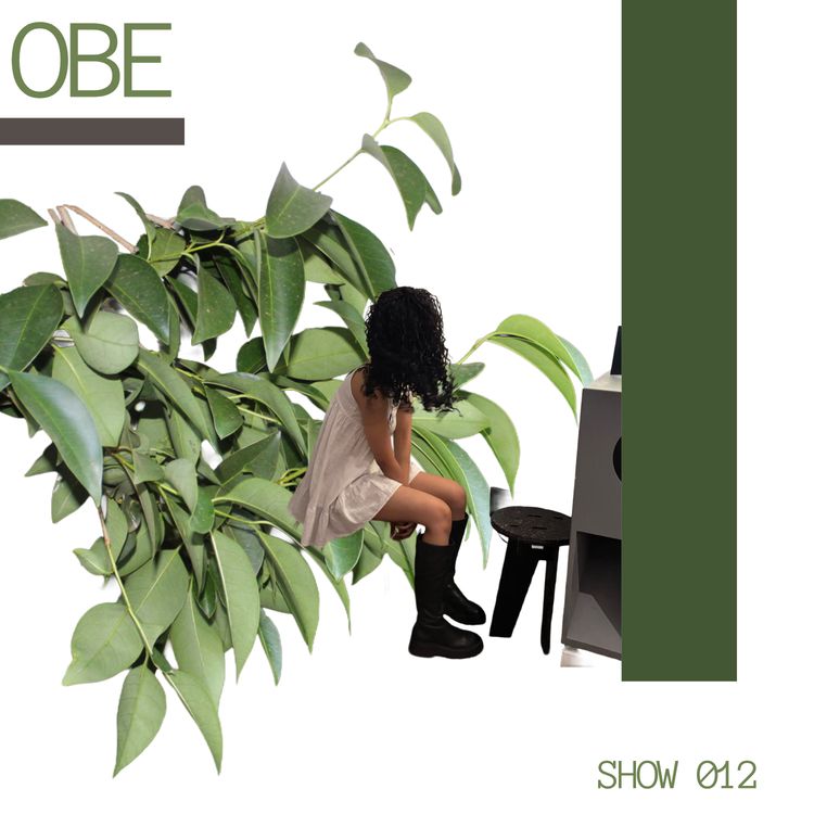 cover art for 012. The Essential Mix by Sonic (SA)