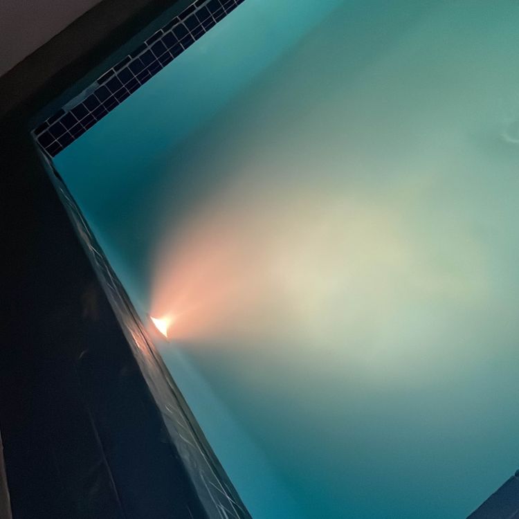 cover art for Elon y su fraude