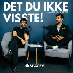 cover art for DET DU IKKE VISSTE!