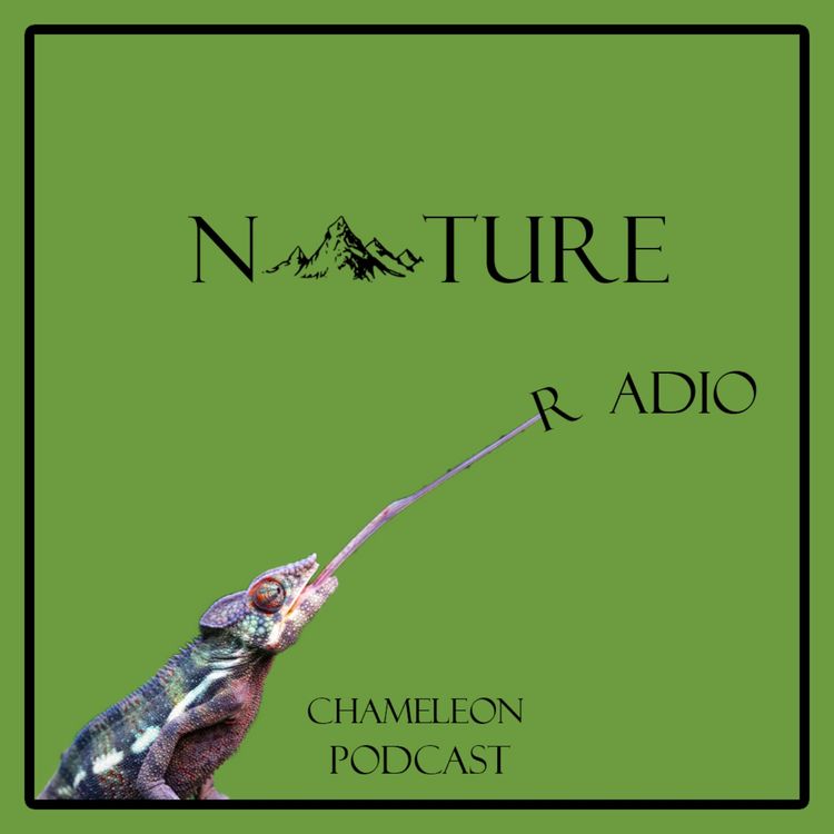 cover art for Long Tongue / زبون درازی - S02.E10 