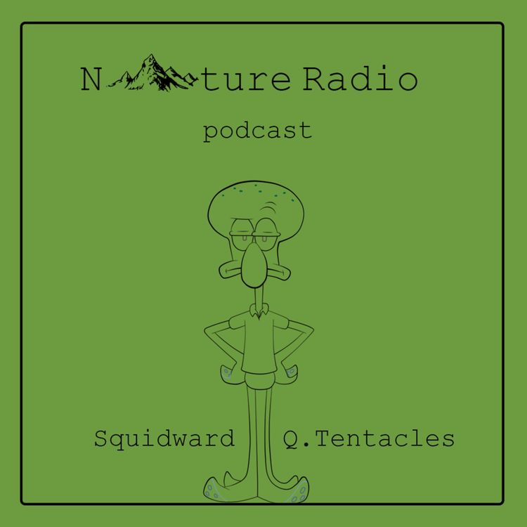 cover art for Squidward Q.Tentacles / شاخک های اختاپوس - E10