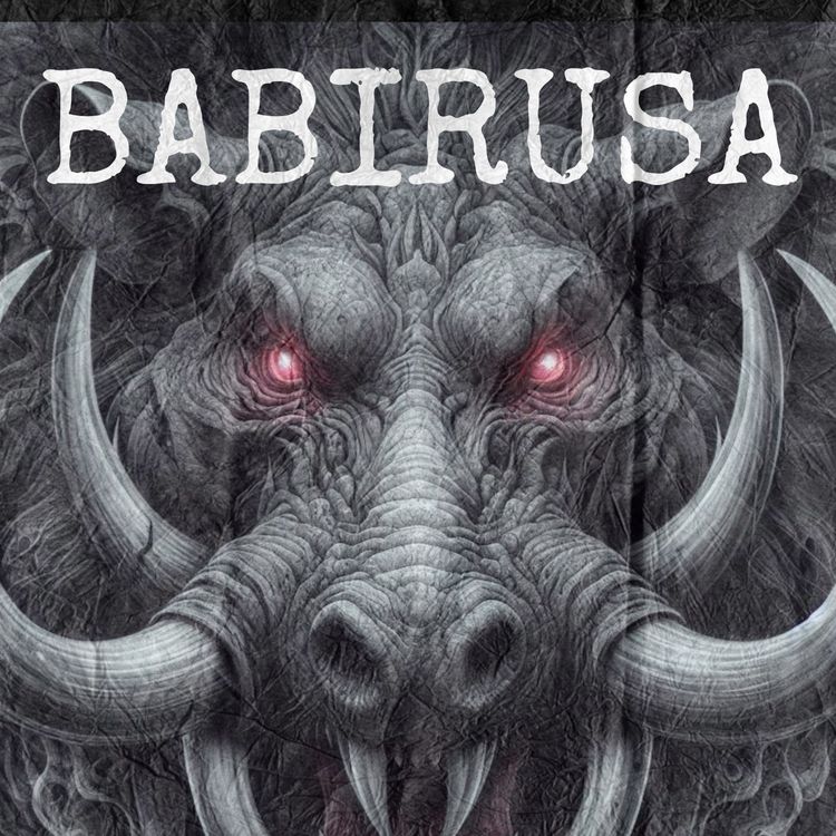 cover art for Babirusa