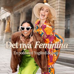 cover art for Det Nya Feminina