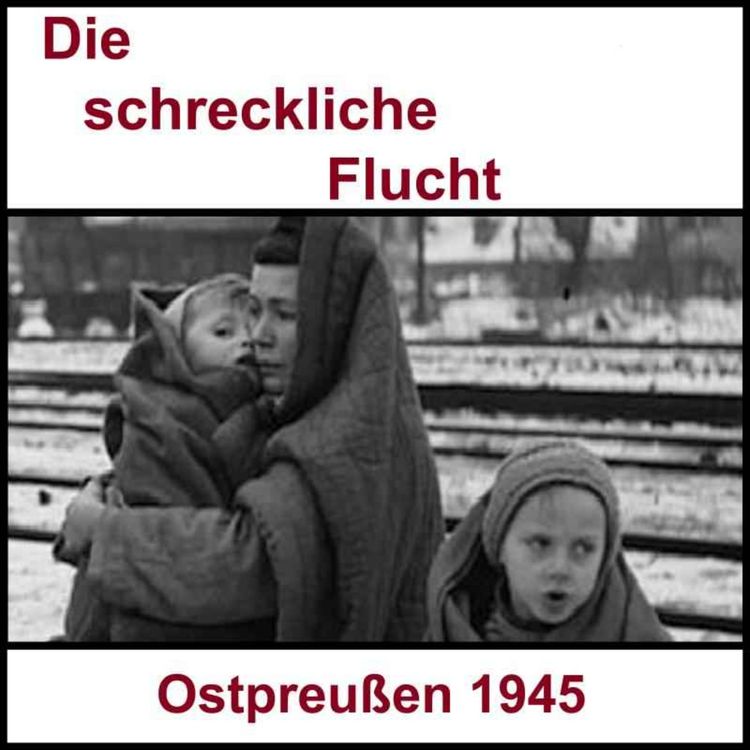 cover art for #3 - Die schreckliche Flucht