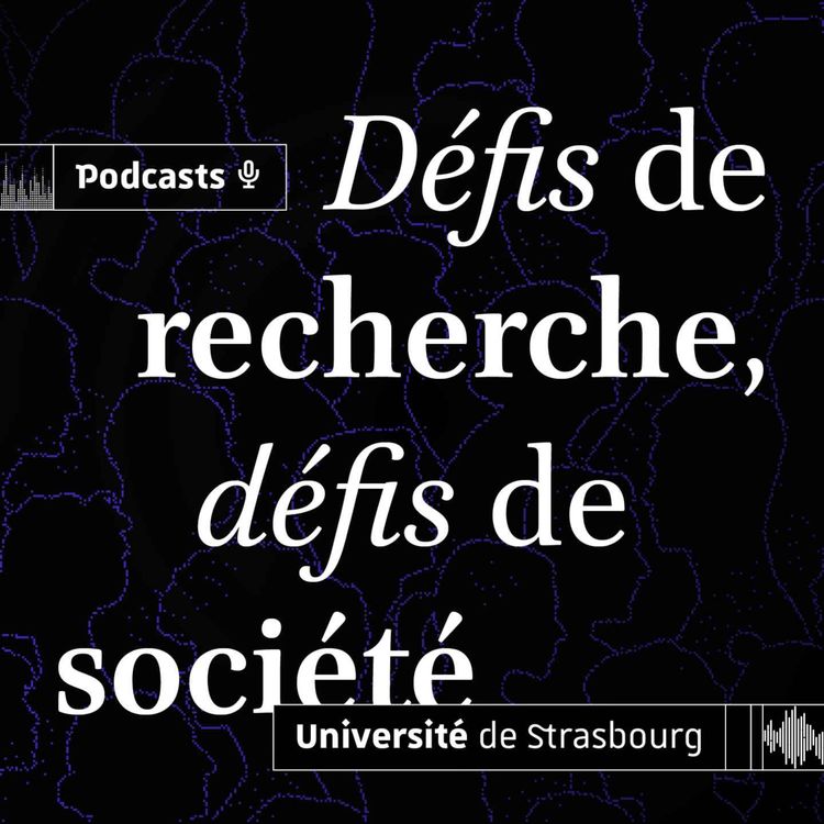 cover art for Les manuscrits arabes et les manchots contre l’antibiorésistance 