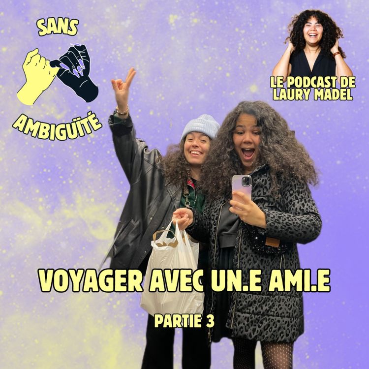 cover art for S2E8 : Voyager avec un.e ami.e (partie 3)