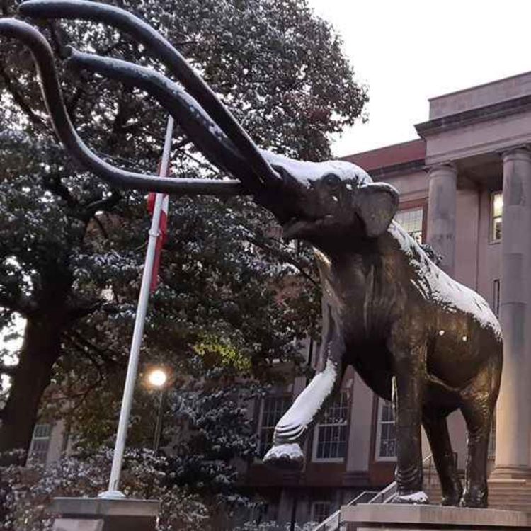 cover art for EP 3.0: Mass Extinction