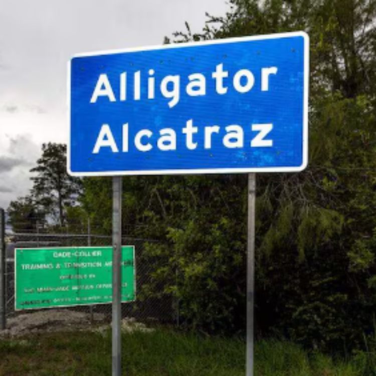 cover art for Alligator Alcatraz - Where Work Sets You Free