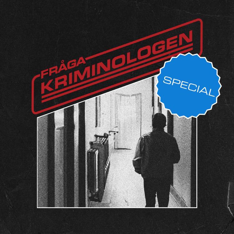 cover art for 18. Fråga Kriminologen special: Syraattacken på Maria Rashidi och mordet på Fadime Şahindal